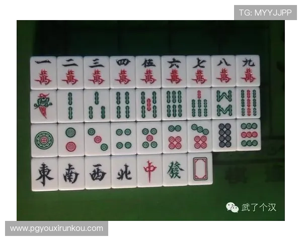 PG麻将下载入口免费获取方法，详细教程助你轻松下载安装体验