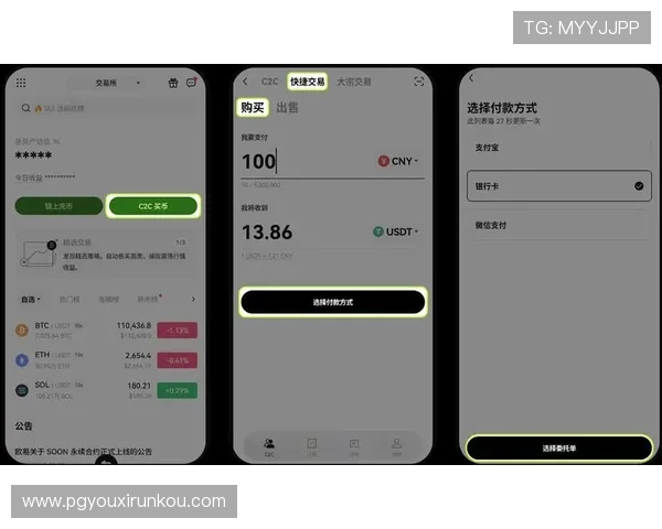 PG游戏库赚钱版的安全性与稳定性分析帮助玩家规避风险实现长期盈利